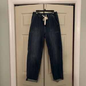 Judy Blue Denim Jogger, size 7/28, very good condition